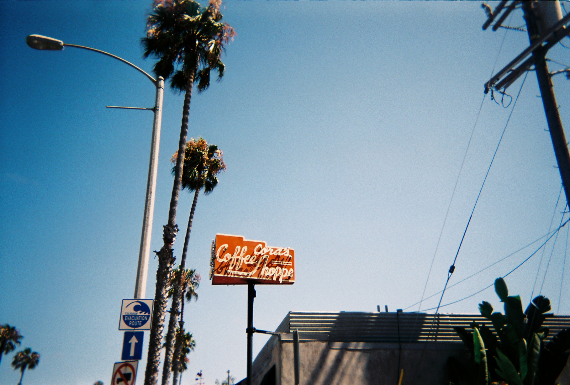 Film photo 3