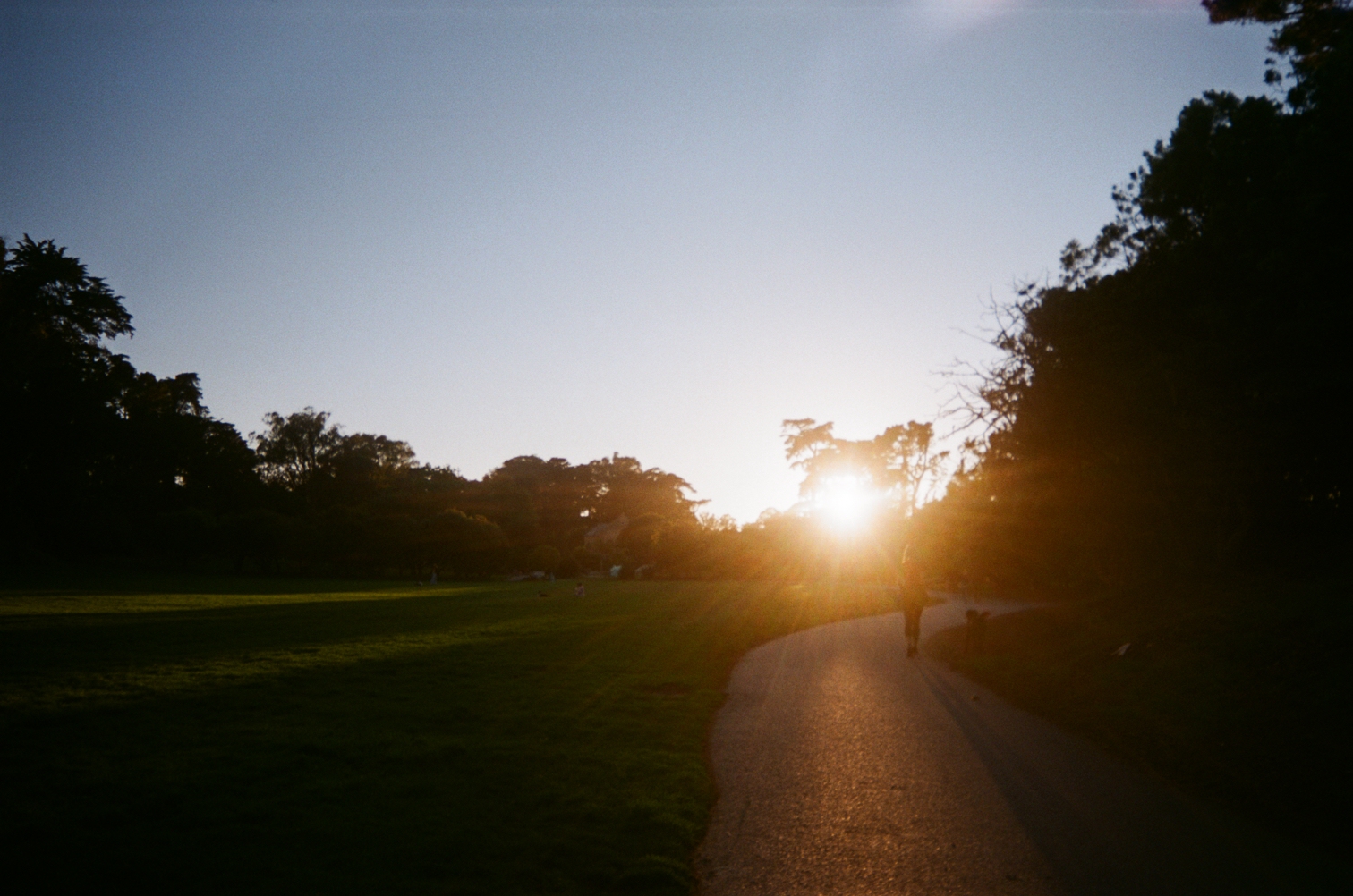 Film photo 7