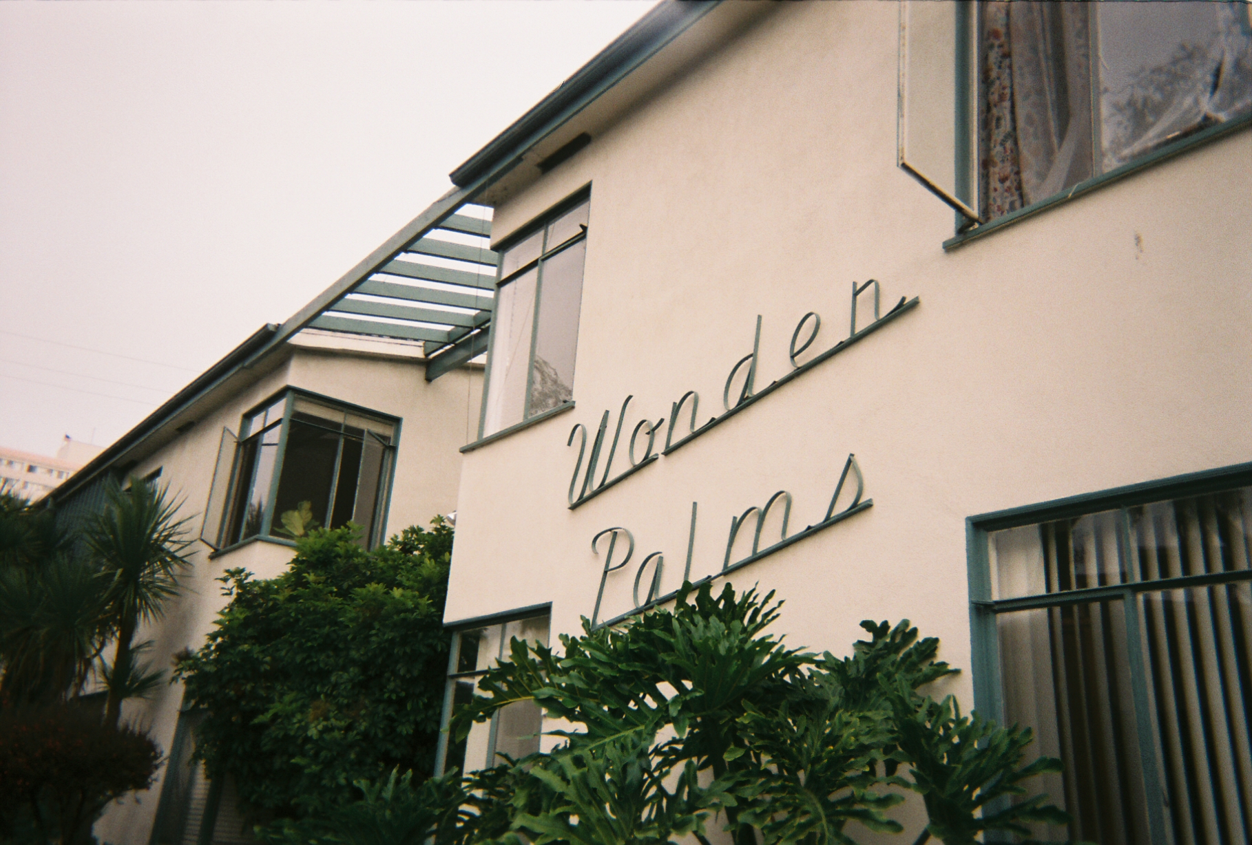 Film photo 8