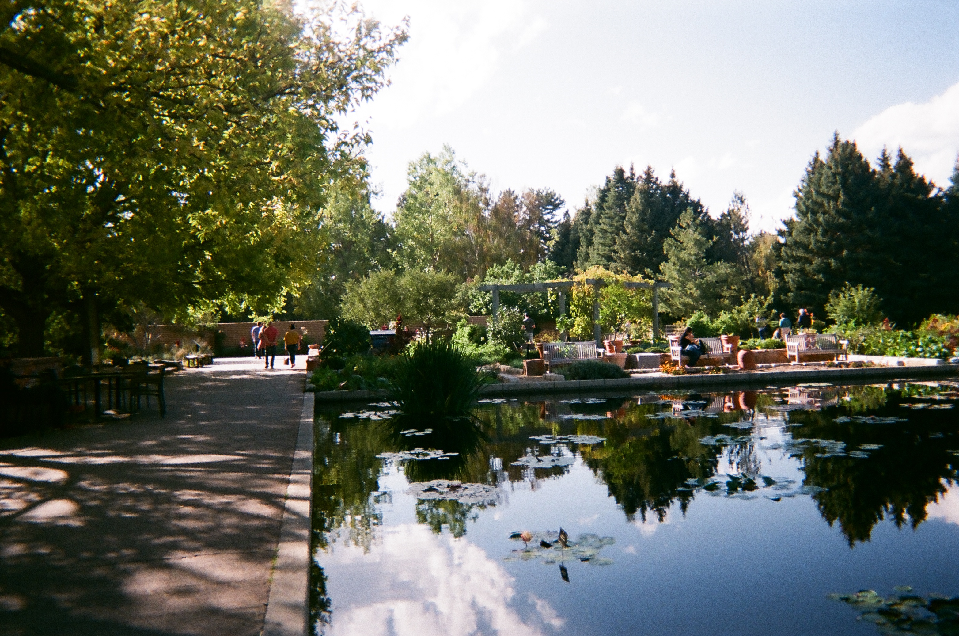 Film photo 9