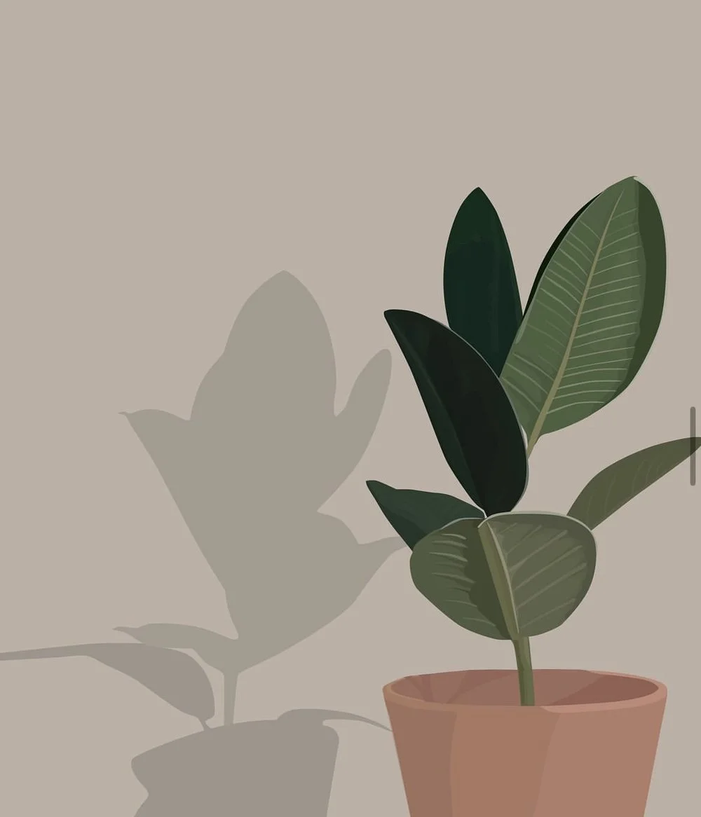Illustration 6